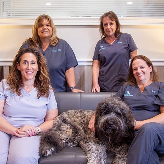 Cherry Hill dental team and dog